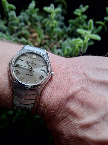 1775897120005165768773266026311