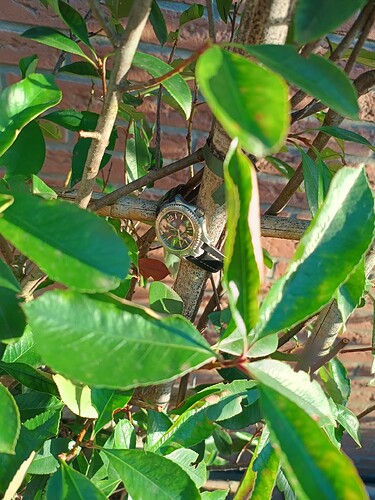 IMG_20250907_185650451_HDR