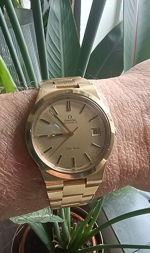 IMG_20240706_085351907