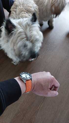 WhatsApp Image 2026-02-20 at 14.46.01