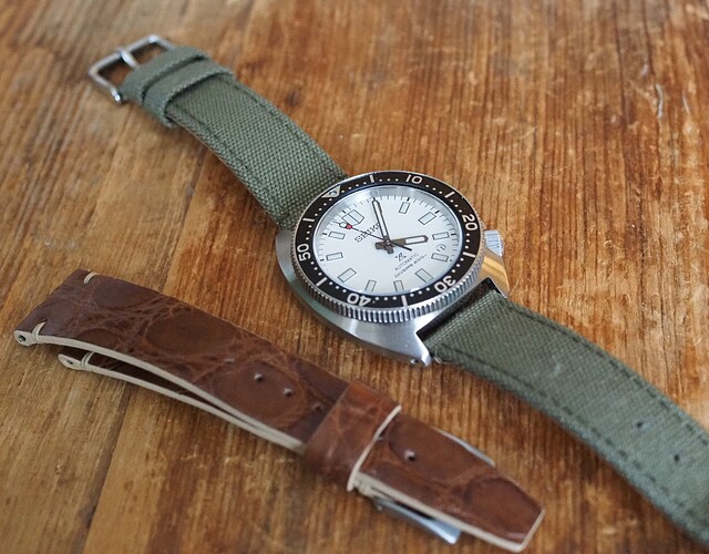 Seiko Slim Turtle SPB313 (8)