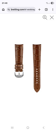 Screenshot_20260329_214035_Chrome