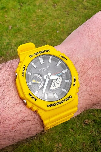 IMG_2914_SnapseedCopy