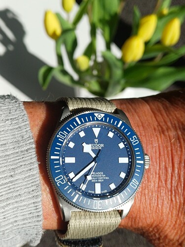 17746906506221514173532244090406