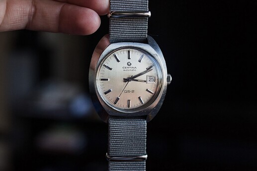 HZ-Certina-DS-Turtle-9