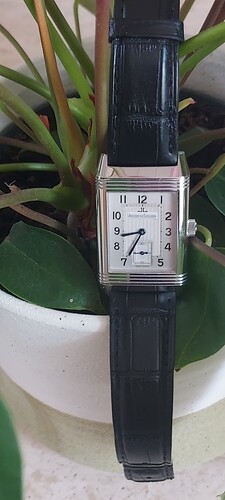 17493643555828484868158392255821