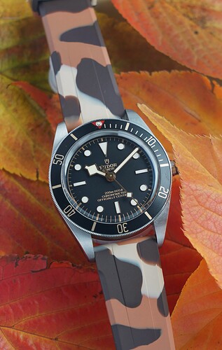 DSC00005_SnapseedCopy_SnapseedCopy