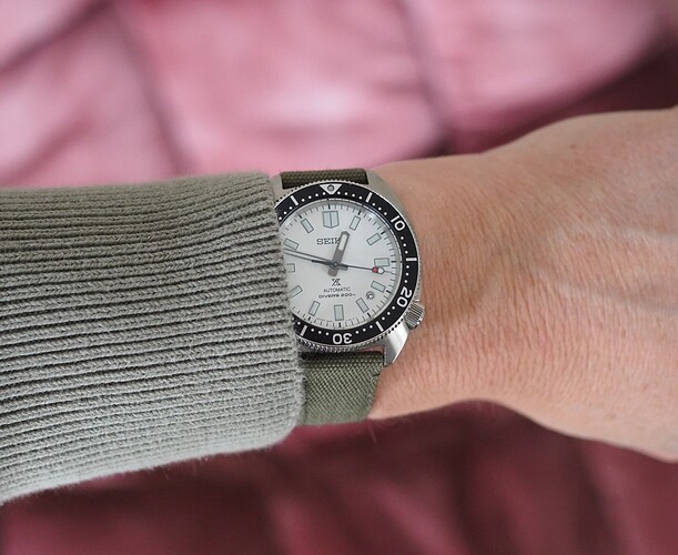 Seiko Slim Turtle SPB313 (19)