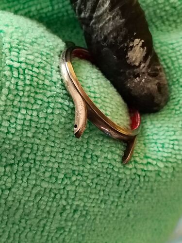 IMG20260305152802   2