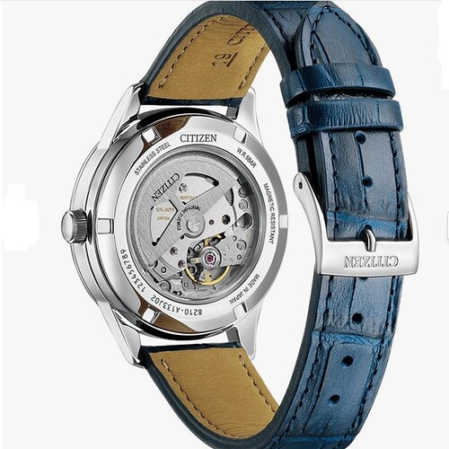 citizen NJ0250-