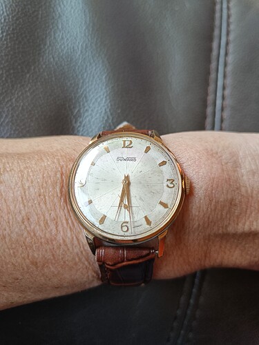 17739413786166225850001973315869