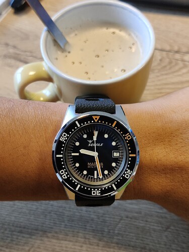 17625040281031335344573564131786