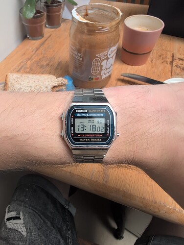 17512823079732576399758232988486