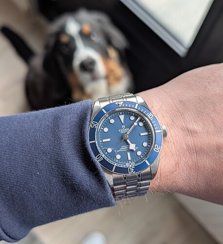 PXL_20260411_150856234.MP~2