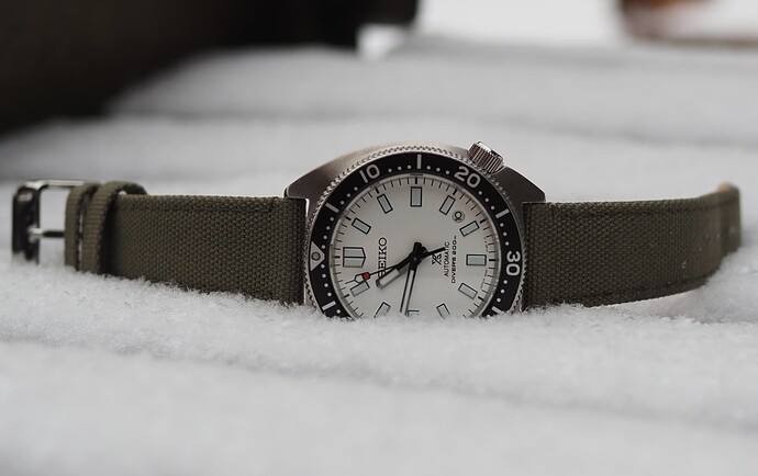 Seiko Slim Turtle SPB313 (21)