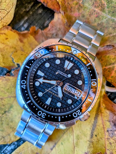 PXL_20251112_154135406.MACRO_FOCUS~2