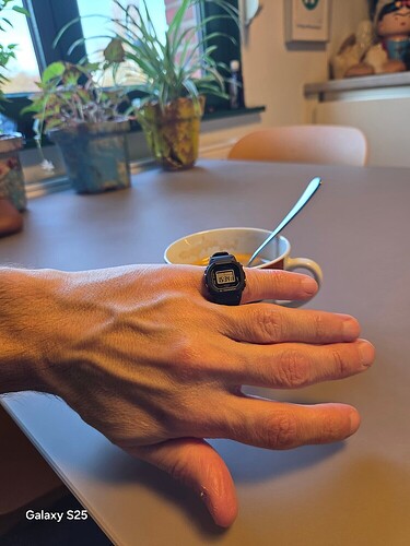 17686604910878376284689258776678