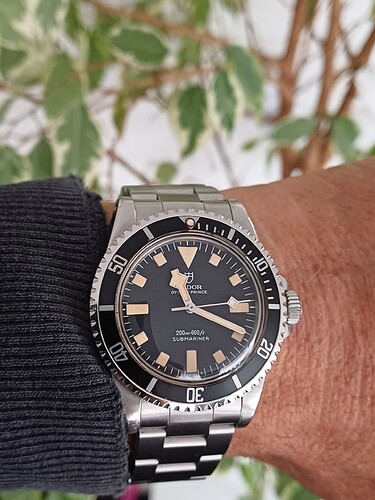 17608654752375061161521855548580