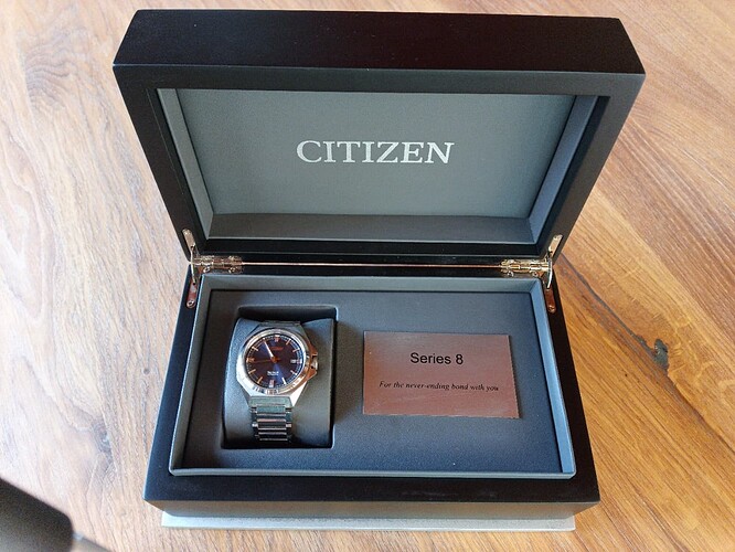 citizen NB6010-81L