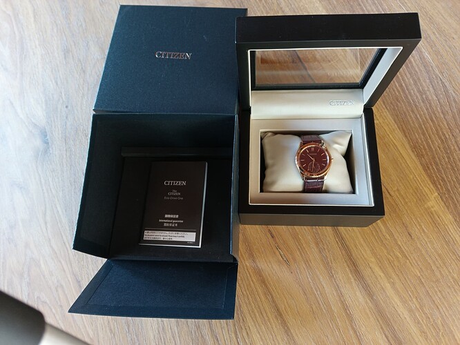 citizen AQ5012-14W