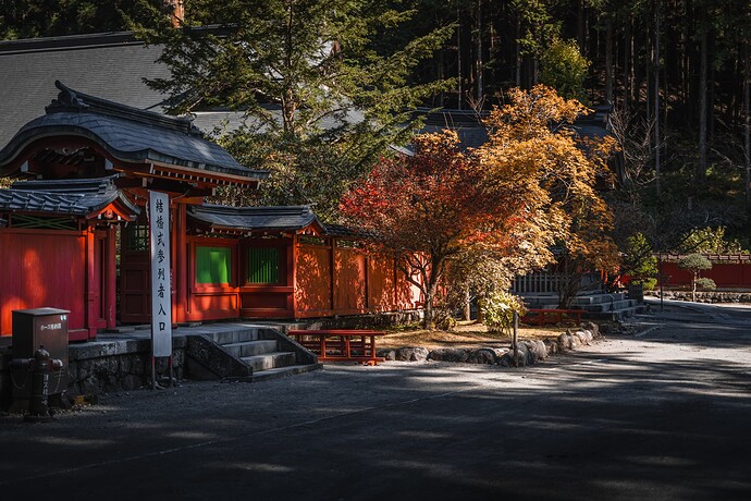 20241108 Japan rondreis november 2024 Nikko-09