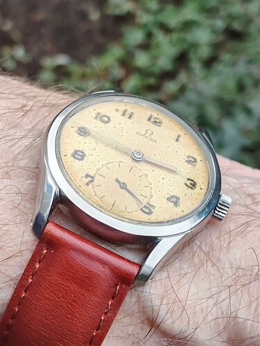 IMG20251205144611  3