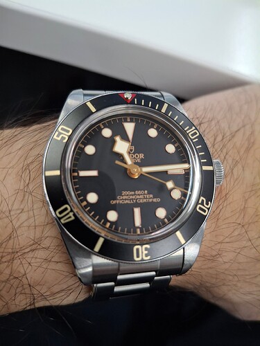 17695952781742031508546998198851