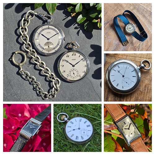 20251004_141651-COLLAGE