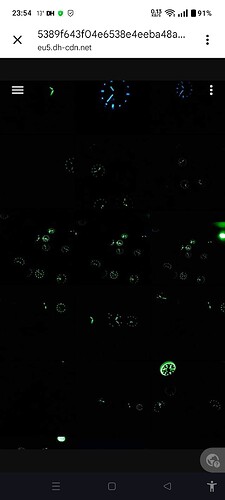 Screenshot_2025-10-10-23-54-15-07_40deb401b9ffe8e1df2f1cc5ba480b12