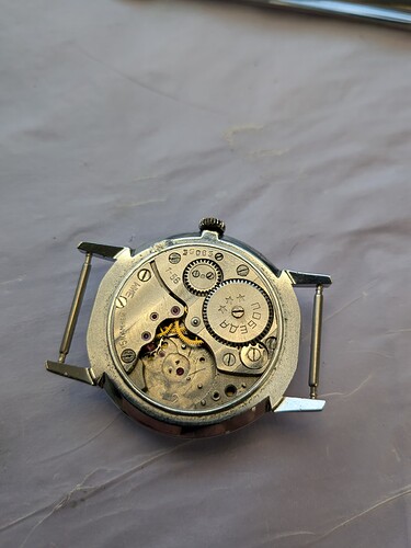 PXL_20251231_094009388.MACRO_FOCUS