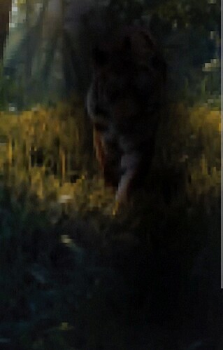 Screenshot_20260801-210714~2