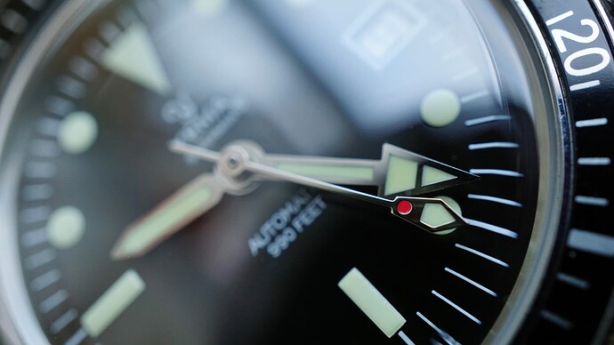 5011E086-4E0D-4DAC-B6C0-B013DA133C37_1_201_a