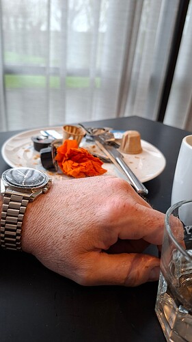 17632830779395299856250106919475