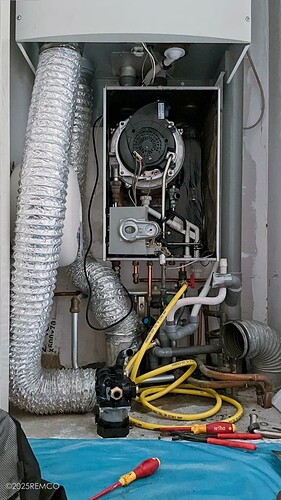 20250219-IMG_6318