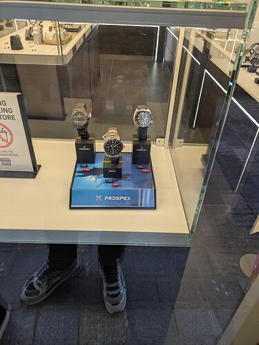 PXL_20251227_101613855.MP