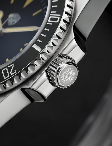 61ArhFQIJyL.AC_UY1000