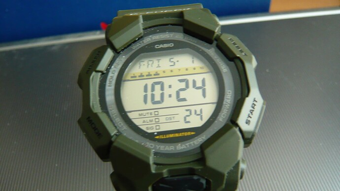 P1100030