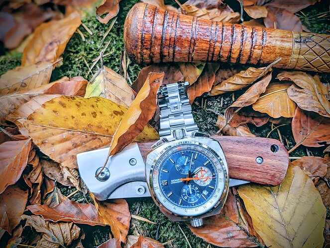 PXL_20251110_130647587.PORTRAIT~2