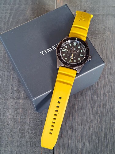 TIMEX DEF009