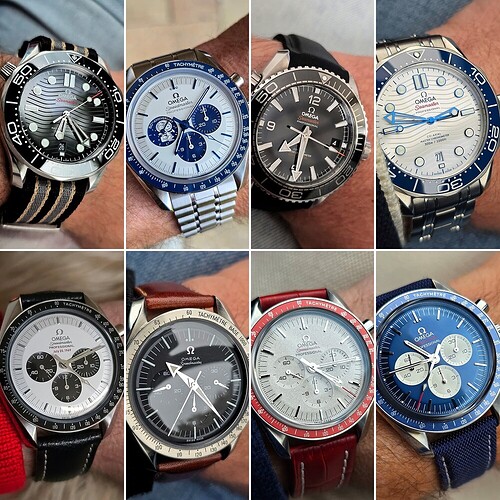 17612500521069072322175490693423