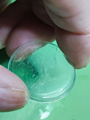 IMG20260211182034  1