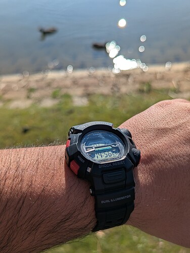 PXL_20260321_135628113.PORTRAIT.ORIGINAL