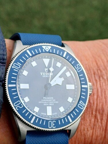 17750452037617248927847982785061