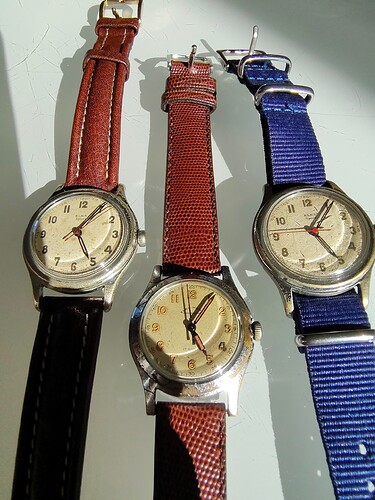 17768703522427899422707329396921