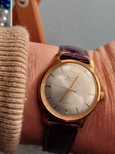 17623226160075293143276618071041