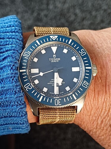 Tudor MN