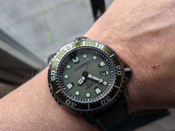 PXL_20251102_072509927.MACRO_FOCUS