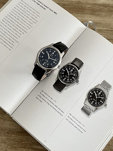 iwc_catalogi_08