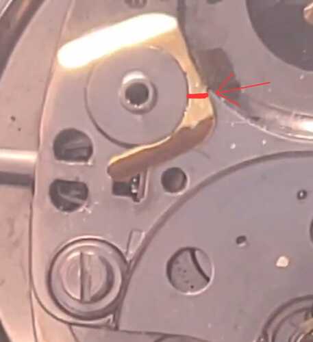 WhatsApp Image 2026-03-14 at 16.33.25 (1)