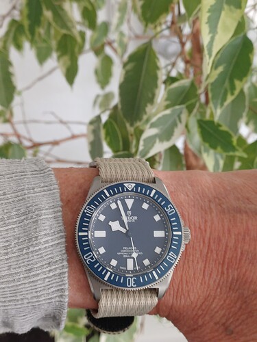 17761533464701349238669751122935